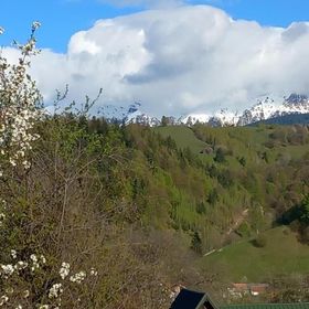 Pensiunea Brian Moieciu de Jos