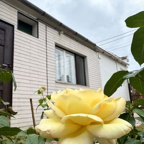 Fehérlak Vendégház Tata