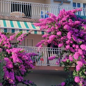 Apartmanok Parkolóhellyel Vodice - 24737