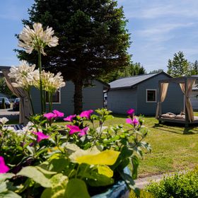 Willa Alexandria Karwia