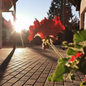 Relax Thermal Villapark- Csokonyavisonta