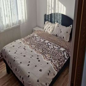 Daria Apartment Sinaia