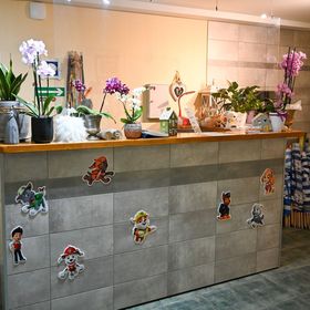 Pensjonat Mirek Dębki