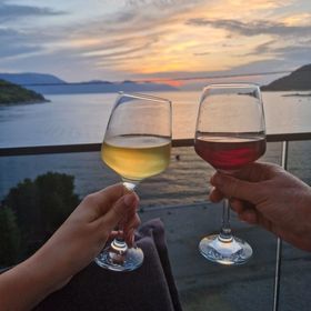 Apartments Damir Blace