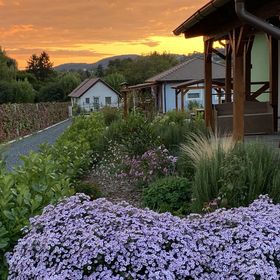 Rizling Vendégház Balatonrendes