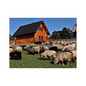 Spokój z Widokiem Chochołów