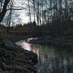 Élet Fája Vendégház Kemence