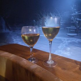 Borka-land Vendégház Deszk