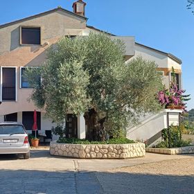 Apartman Palit - CKR940