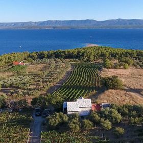 Vendégház Bol - CDB857