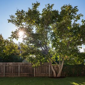 Tschardakenhof Appartement Lutzmannsburg