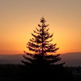 Casa Harmony Retreat Dealu Negru