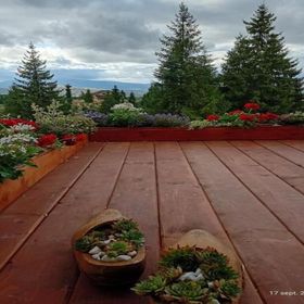 Casa Harmony Retreat Dealu Negru