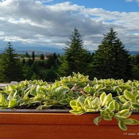 Casa Harmony Retreat Dealu Negru