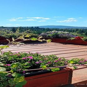 Casa Harmony Retreat Dealu Negru