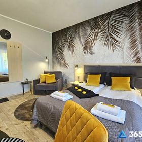 365PAM - Studio Dominikańska Szóstka - Sianożęty