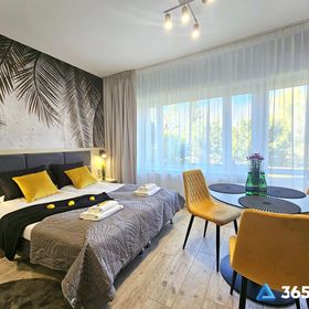 365PAM - Studio Dominikańska Szóstka - Sianożęty