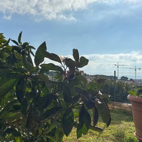 Apartman Zadar - CDY326