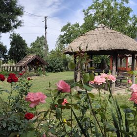 Koroknai Porta Báránd