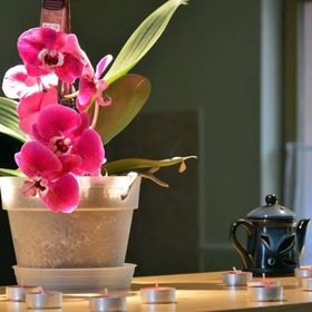 Flamingó Vendégház Eger