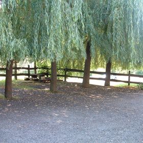 Zölderdő Vendéglő Vendégház Óbánya