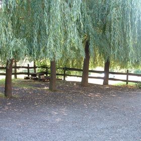 Zölderdő Vendéglő Vendégház Óbánya