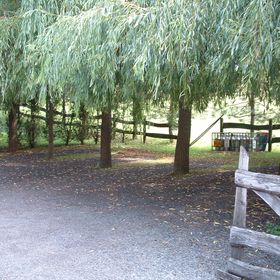 Zölderdő Vendéglő Vendégház Óbánya