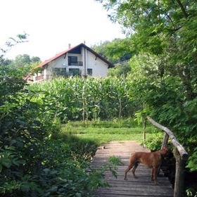 Erdőalja-Vendégház Jásd