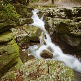 Erdőalja-Vendégház Jásd