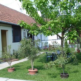 Rózsa Apartman Gyula