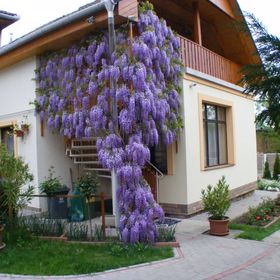 Napfény Apartmanház Eger