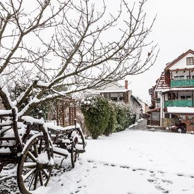 Kaktusz Villa Hévíz