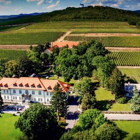 Gróf Degenfeld Kastélyszálló Superior Tarcal