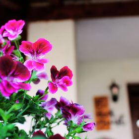 Mini Panzió Nagykanizsa