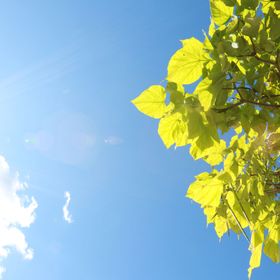 Mária Háza Vendégház Szár