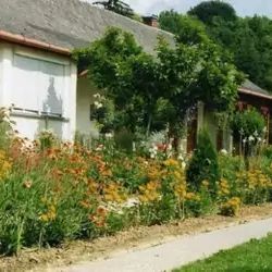 Borbás Vendégház Szenna