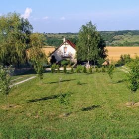 Szabo Pince Balatonendréd