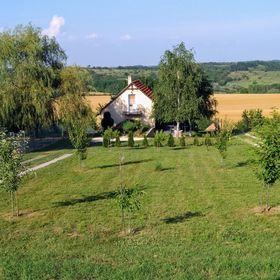 Szabo Pince Balatonendréd