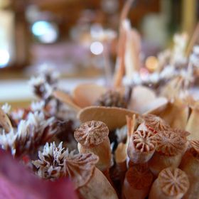 Janika Panzió Vonyarcvashegy