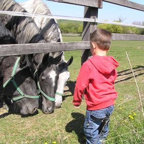 Aliz Villa Szilvásvárad