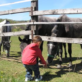 Aliz Villa Szilvásvárad