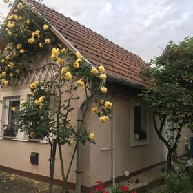 Rózsakert Vendégház Egerszalók