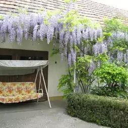 Lila Akác Vendégház Drégelypalánk