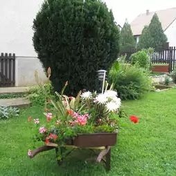 Marika és Nándi Vendégváró Újpetre