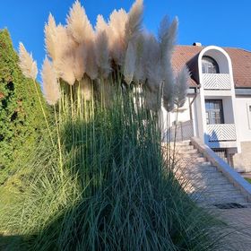 Napfény Villa Balatonfüred