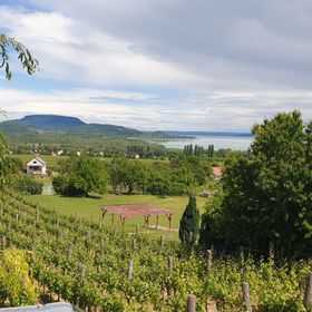 Szabó Pince Vendégház Balatonederics