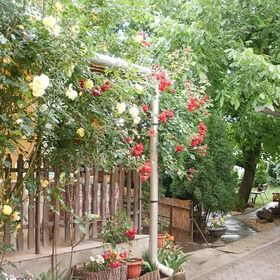 Vass Vendégház Eger