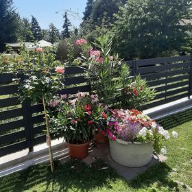 Rózsa Vendégház Visegrád