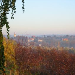 Fűzfa Vendégház Nagyberény