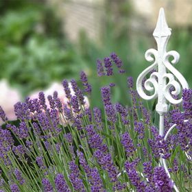 Rohonci Vendégház Kőszeg